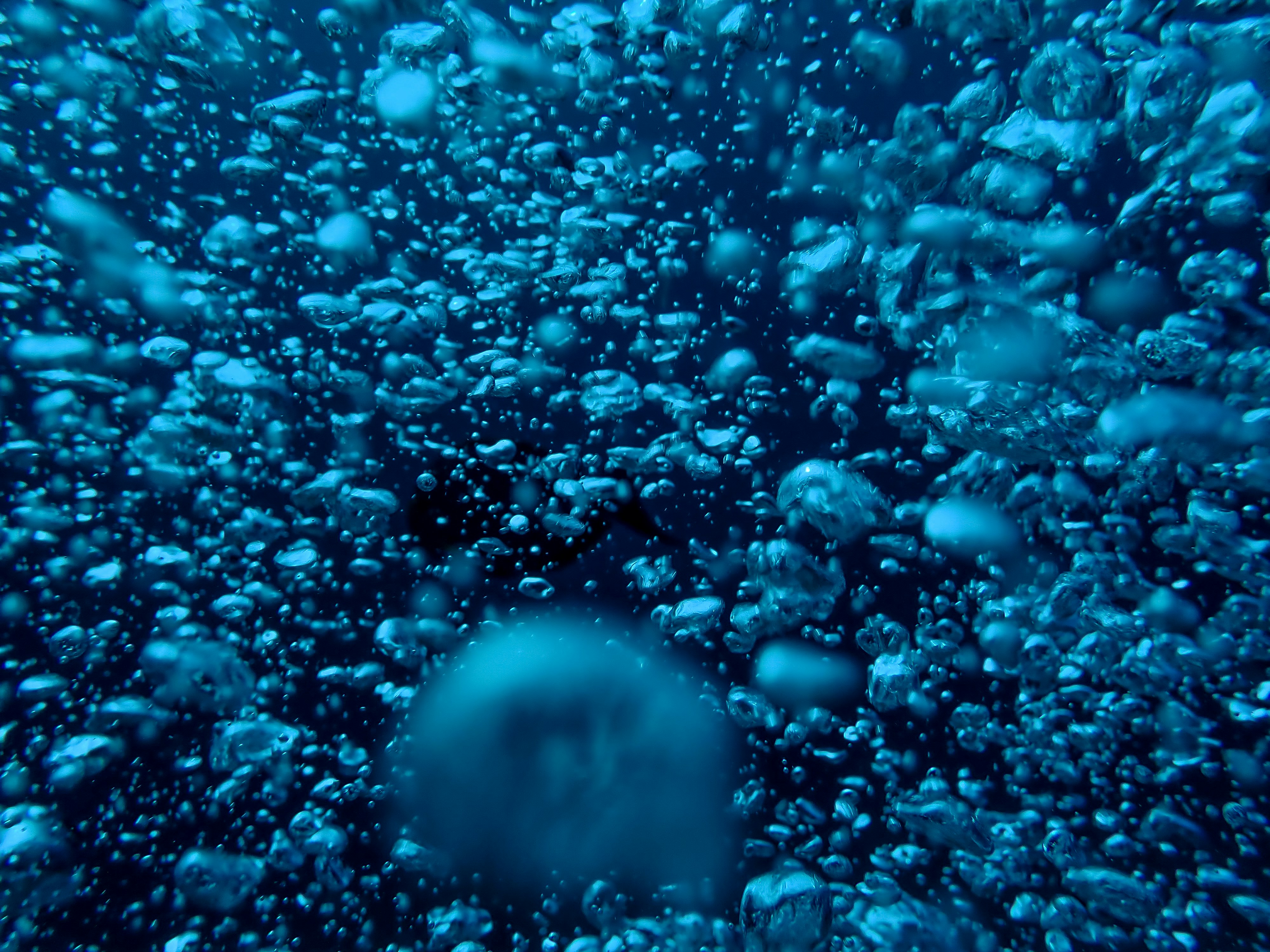 Teal bubbles rising through water